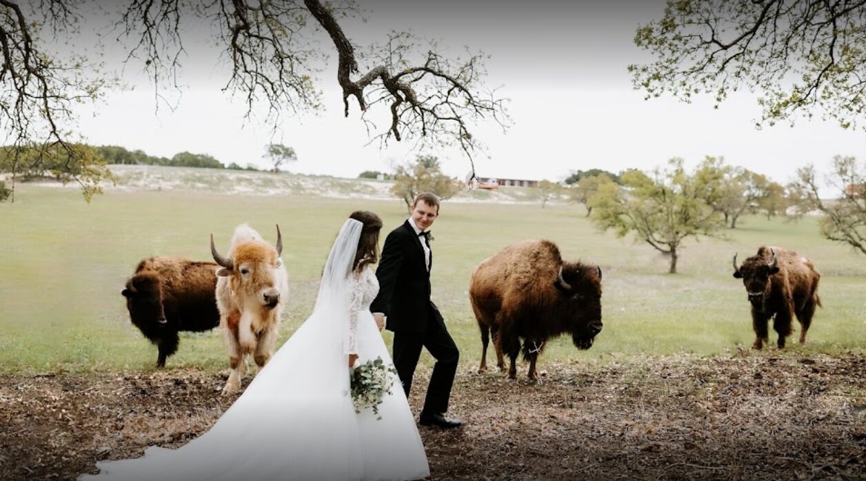 Newlyweds walking the 600-acre G5 Ranch fields